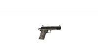 Arma3 CfgWeapons hgun ACPC2 F.jpg